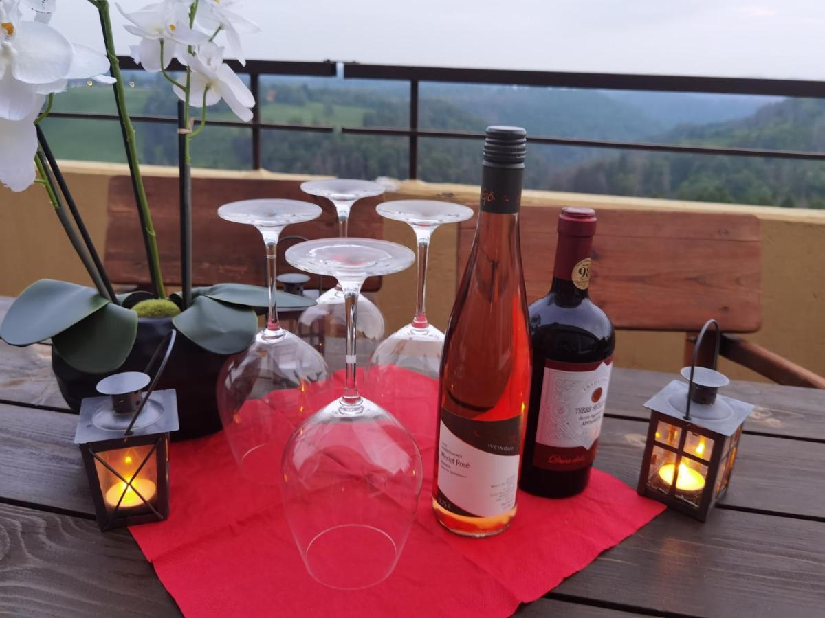Apartament Penthouse Harz-Traum 372 Hohegeiß Zewnętrze zdjęcie