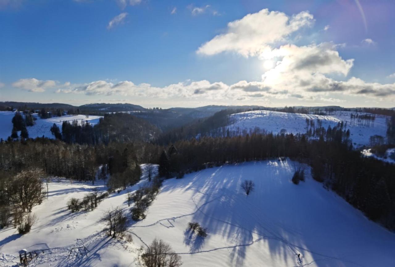 Apartament Penthouse Harz-Traum 372 Hohegeiß Zewnętrze zdjęcie
